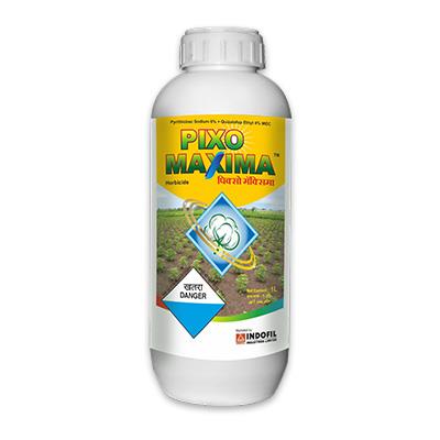 Pixo Maxima