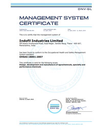 OHSAS 18001:2007 Certificate Indofil Thane
