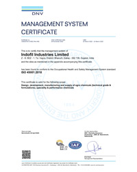 ISO 45001:2018 (Occupational Health and Safety Management System)