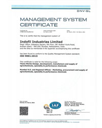 ISO 9001:2015 Certificate Indofil Thane