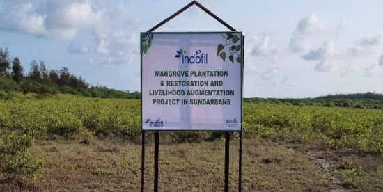 Project Reverse Climate Change